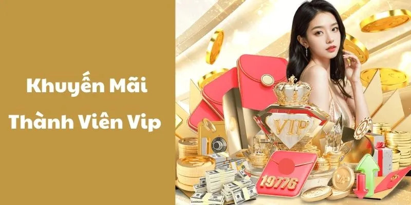 Khuyến Mãi Thành Viên Vip - Top 3 Sự Kiện Đang Diễn Ra 1 Khuyến mãi thành viên vip